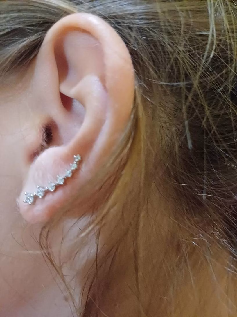Orecchini in argento